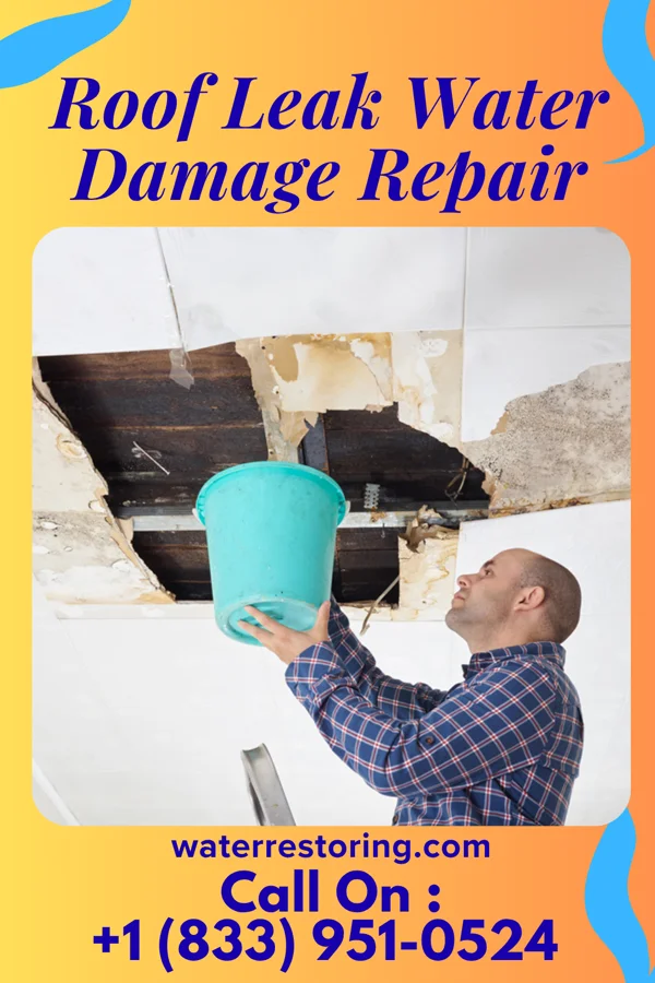 Roof Leak Water Damage Repair in Twodot, MT